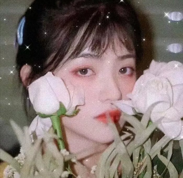 豪情女子
